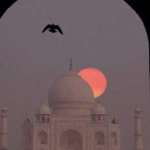 Meet your Posher, Kenny